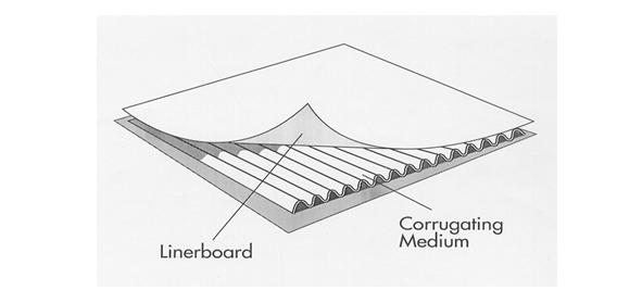 What Are the Different Types of Corrugated Linerboard?